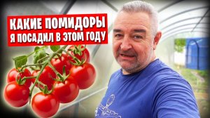 😺 Киножурнал «Земля и Глина», или новости с донецкого огорода) 🌼