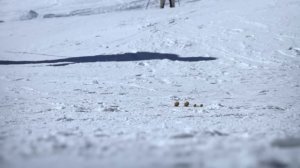 46. Twelve Angry Snails 🐌 Minuscule   60' Compilation
