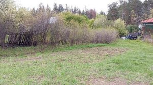 Внучата работают в своем огороде🌳