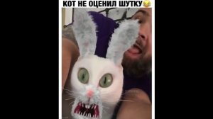#смешныевидео -1401