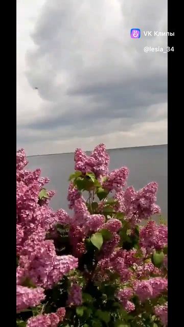 Счастье человека зависит не от внешних обстоятельств, а от состояния души"🌿 #ХИЖИНАРЫБАКАВОЛГОГРАД