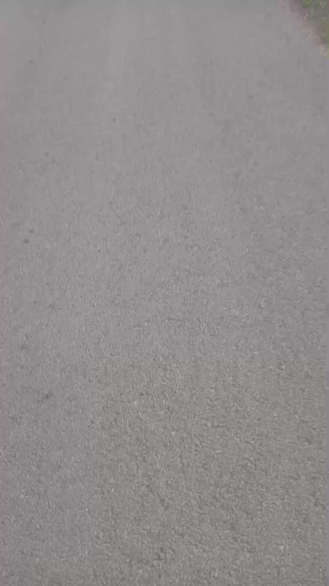 ш