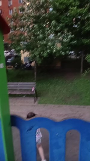 сумасшедший дом 🏠