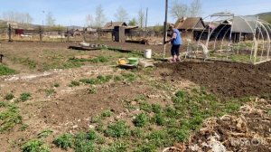 Любой каприз по вашей просьбе