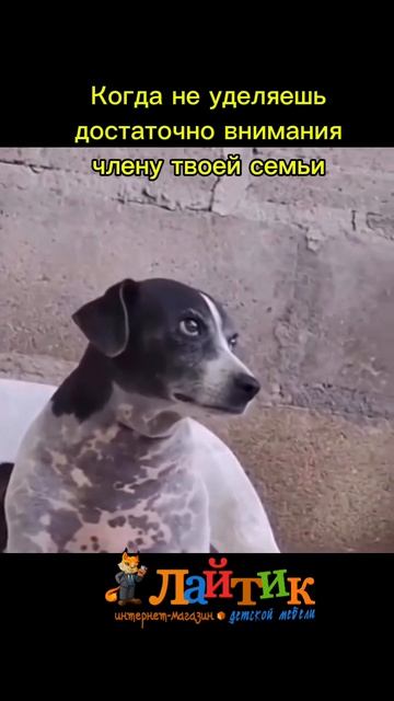 Одиночество в кругу семьи