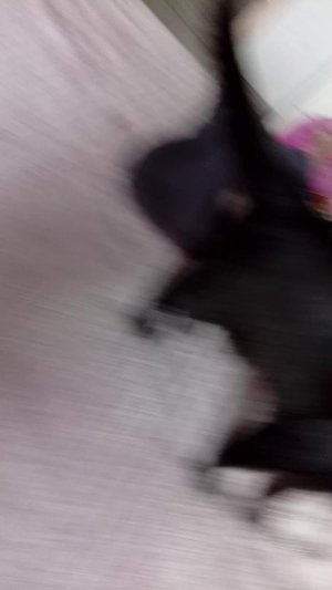 Даша зайка