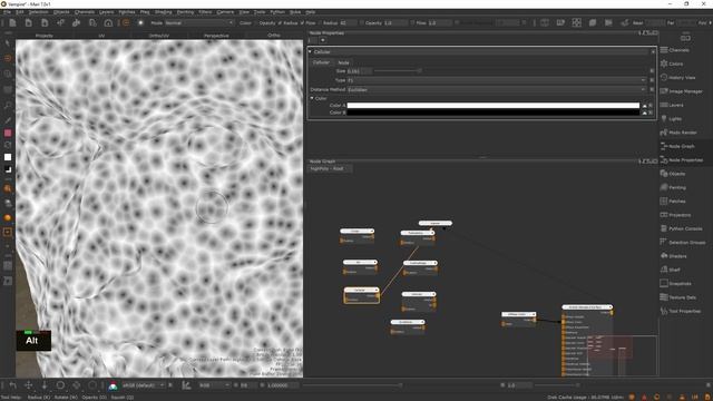 12_procedurals