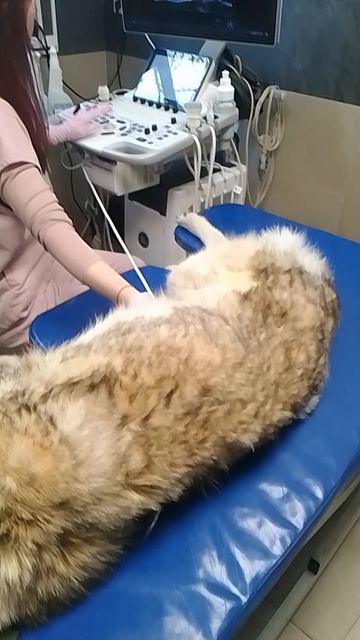 VID_20260512_150744.mp4