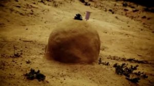 213. Minuscule - Fourmi rose Rosy (Season 1)
