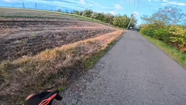Видео от Красноярская тайга. Фотоловушки