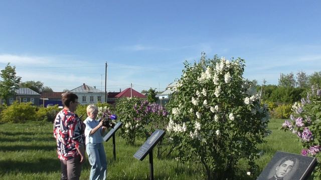 Александровка Сиреневый сквер 