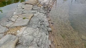 Прогулки по парку