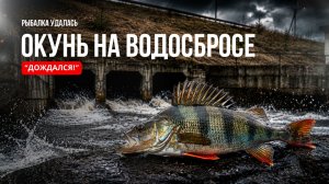 ДОЖДАЛСЯ! ОКУНЬ ЗАШЁЛ - КЛЁВ ПОШЁЛ | Рыбалка на спиннинг