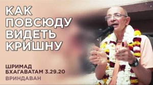14.03.2020 Как повсюду видеть Кришну - Бхакти Вигьяна Госвами (Вриндаван)