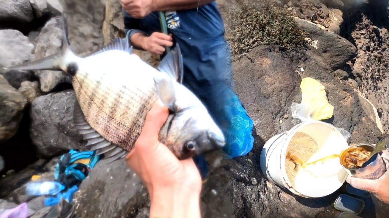 Сделайте эту рыболовную приманку, и вы не сможете оторваться от ловли рыбы