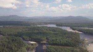 ЗА ТАЙМЕНЕМ В ХАБАРОВСКИЙ КРАЙ, ФИЛЬМ 2