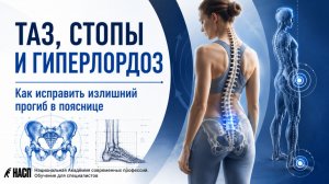 ТАЗ, СТОПЫ И ГИПЕРЛОРДОЗ Как исправить излишний прогиб в пояснице