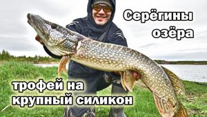 С крупными приманками на любимый пруд
