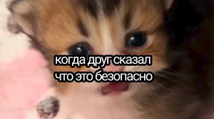 рил:когда друг сказал что это безопасно