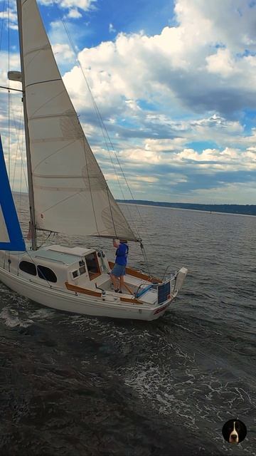 ХАОС НА ПАРУСНОЙ ЛОДКЕ В PUGET SOUND ⛵🚁 | Шкипер пытался остановить дрон верёвкой