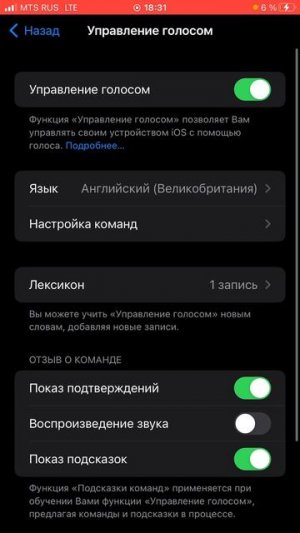 Как сделать на айфоне голосовое блокировка экрана