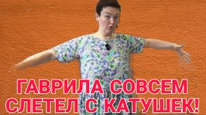 КУЧА СРВСЕМ СЛЕТЕЛА С КАТУШЕК. ПИРАТСКАЯ ЖИЗНЬ. ОБЗОР.