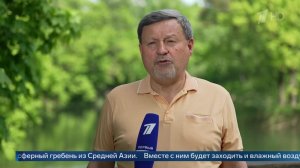 «Возможны локальные грозы» - метеоролог Варакин о погоде на следующей неделе. в Москве