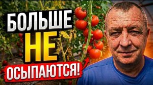 ШОК! Этот хитрый трюк даст +30% к урожаю томатов даже в самой плохой почве  #томаты #помидоры