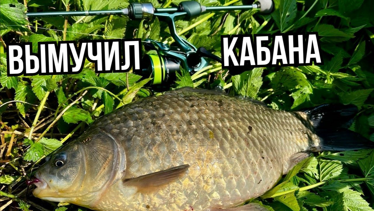 Мормышинг. Трудовая рыбалка на карася с Dayo Prestige CX 4 Travel