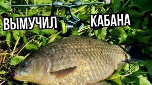 Мормышинг. Трудовая рыбалка на карася с Dayo Prestige CX 4 Travel