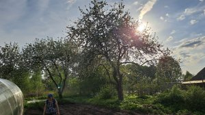 Что не день...то приключения