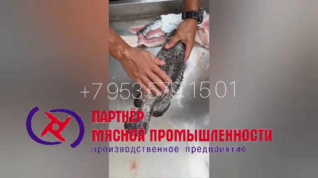 Машина очистки и потрошения рыбы 700