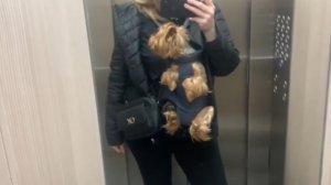 Гуляем с Лелей,мечтаем
