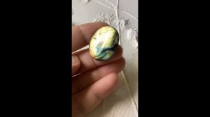 Лабрадор с иризацией