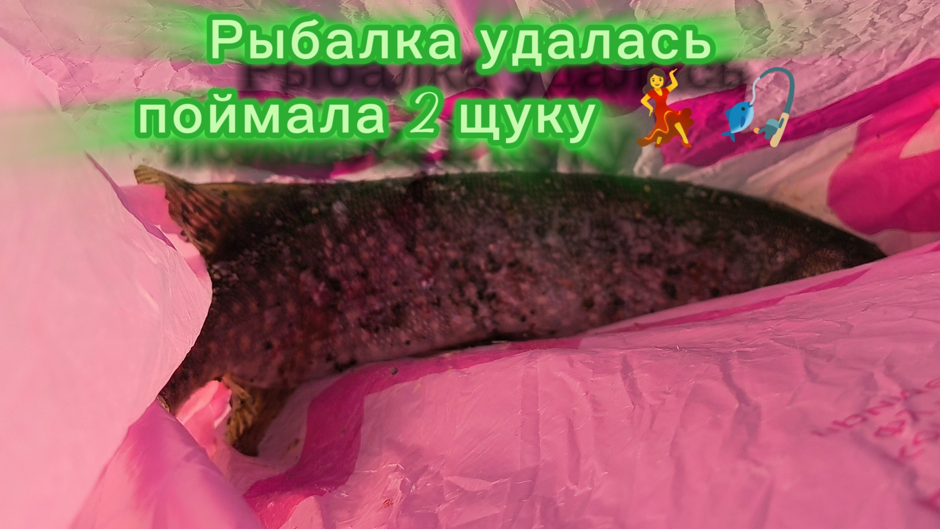 Рыбалка удалась поймала 2 щуку 🐟 💃