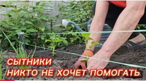 САМВЕЛ АДАМЯН, СЫТНИКИ, НИКТО НЕ ХОЧЕТ ПОМОГАТЬ..