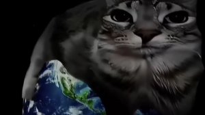 Перезалив FUNK CATS