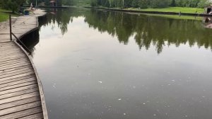 Убрали сетку с Вип зоны