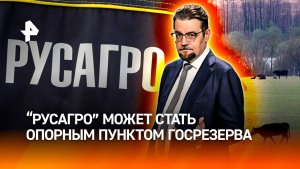 Конфискация активов «Русагро» стала сигналом для всего агробизнеса РФ / ДОБРОВЭФИРЕ