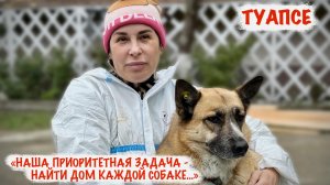 «НАША ПРИОРИТЕТНАЯ ЦЕЛЬ - НАЙТИ ДОМ КАЖДОЙ СОБАКЕ...» зоозащита г. Туапсе, военкор Марьяна Наумова