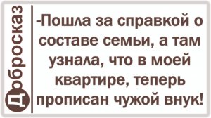 -Пошла за справкой о составе семьи, а там узнала, что в моей квартире, теперь прописан чужой внук!