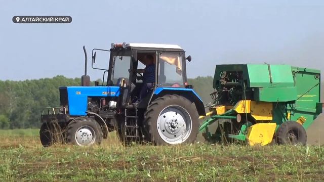 В Барнауле открыли Город профессий АПК для шести тысяч школьников смотреть онлайн