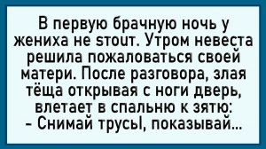 Как тёща зятю помогла! #анекдоты #прикол #ржака