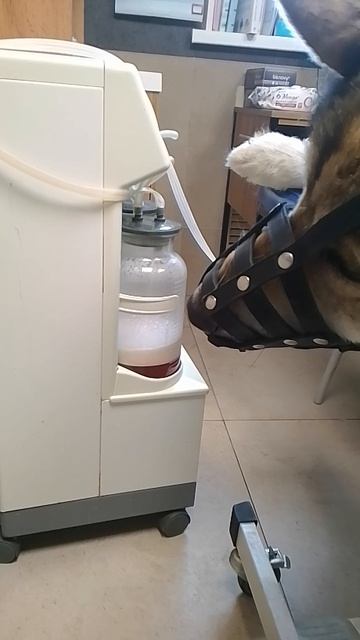 VID_20260512_143134.mp4