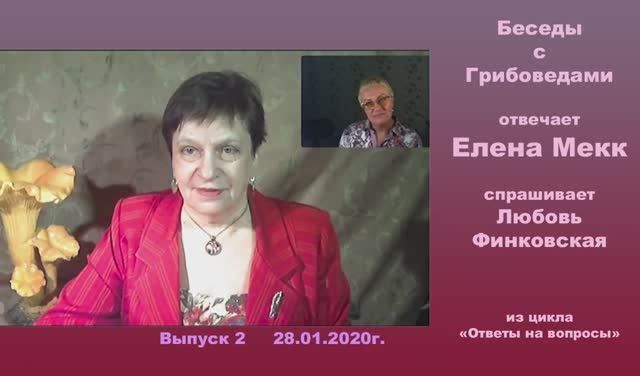 Беседы с Грибоведами.  Выпуск 2.  28 января 2020 года.
