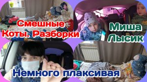 Я сильная,иногда это мешает/Смешные разборки/Готовлю и болтаю Часть 1