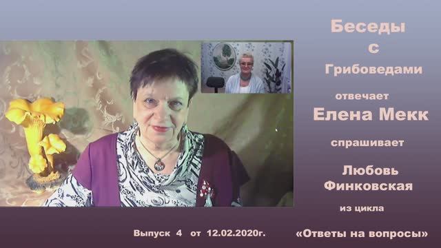 Вопросы и ответы. Выпуск № 4. Беседы с грибоведами.