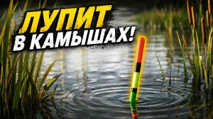 НАРВАЛИСЬ НА ТАКОЕ! Уехали с НОЧЁВКОЙ и НАЧАЛСЯ ЖОР в мае! Рыбалка 2026