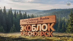 ЭКОБЛОК. Разработка Валерия Шамсутдинова