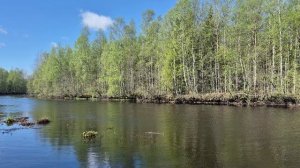 Зеленеет, солнце светит, птички  поют Весна
